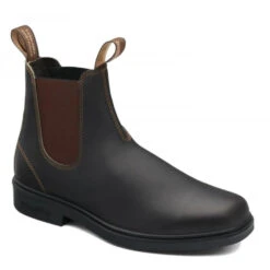 Blundstone Dress 067 In Stout Brown